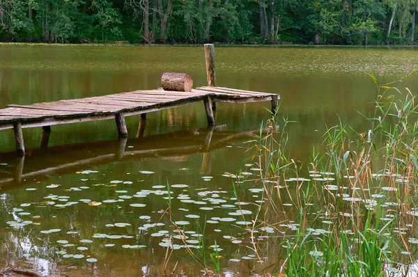 Pier a horgászat, mocsaras, tükrözi a fákat, a tó, egy festői tó az erdőben — Stock Fotó