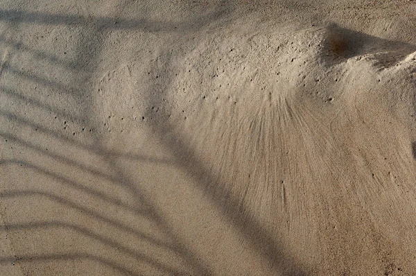 Η σκιά του φράχτη στην άμμο, μια όμορφη σκιά πάνω στην άμμο της θάλασσας — Φωτογραφία Αρχείου
