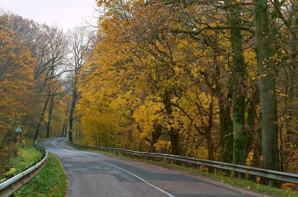 Camino entre árboles otoñales, árboles con hojas amarillas y rojas a un lado — Foto de Stock