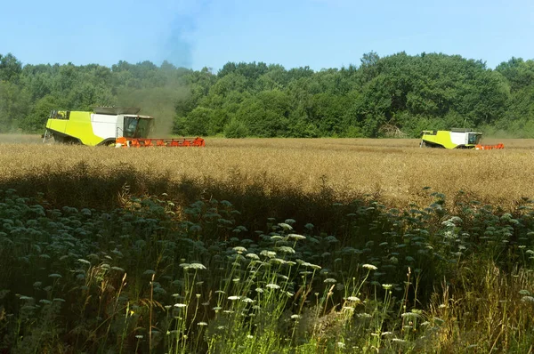 Iki tarım makinaları alanında faaliyet, alan, tarımsal arazi tahıl Hasat makineleri çalıştırmak — Stok fotoğraf