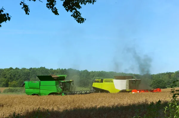 two agricultural machines operate in the field, grain harvesting machines operate in the field, agricultural land