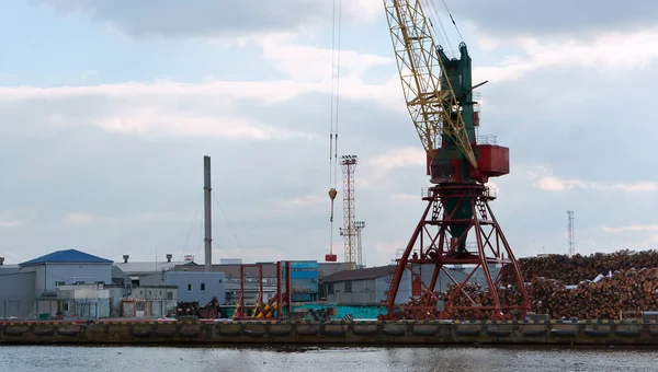 Sea port, port cranes, gantry crane, transportation of timber by sea — Stock Photo, Image