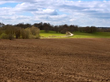 sürülmüş alan, yeşil çam ve mavi gökyüzü, mavi gökyüzünün altında sürülmüş alan