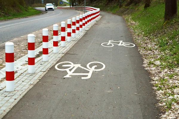 Ciclovias Paralelas Marcações Rodovia Estrada Ciclista — Fotografia de Stock