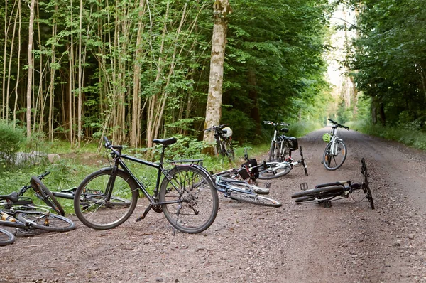 Reis Fiets — Stockfoto