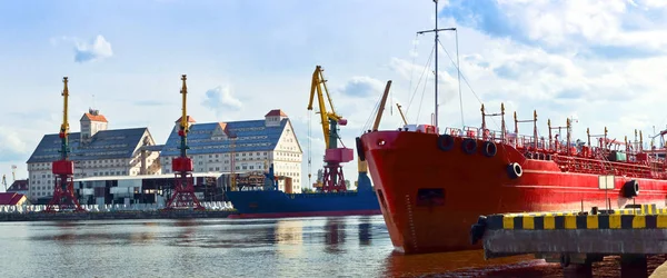 sea port, port cranes, gantry crane, ice-free Russian port on the Baltic sea Kaliningrad