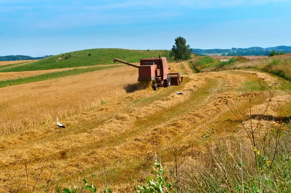 Hasat alanı, çiftlik iş, alanında çalışan traktör — Stok fotoğraf