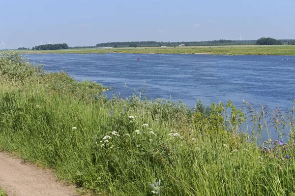 landscape river and overgrown shore, wide river on a summer day