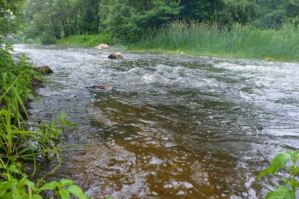 shallow roaring river, shallow clean river in summer