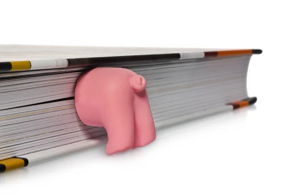 Pink ass pig,  half funny pet working as a bookmark. — Stock Photo, Image