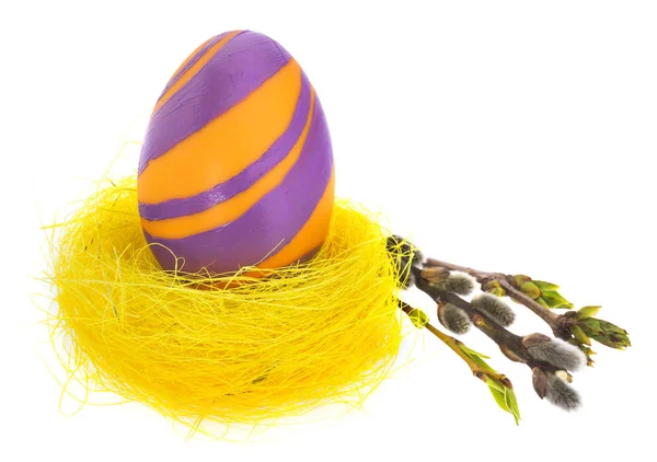 Easter egg hand painted in yellow bird's nest with blooming twig — Stock Photo, Image