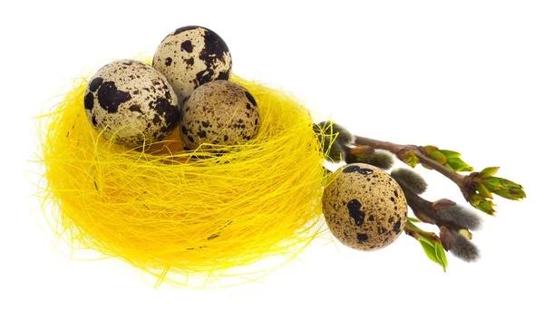 Easter egg hand painted in yellow bird's nest with blooming twig — Stock Photo, Image