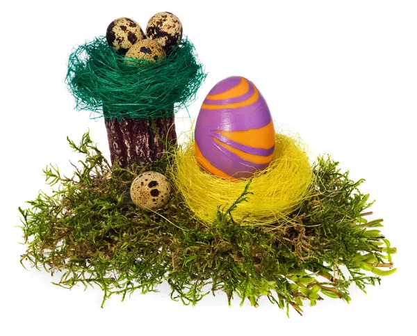 부활절 달걀 손으로 그린된에 다 색된 새 둥지, 숲 이끼, — 스톡 사진