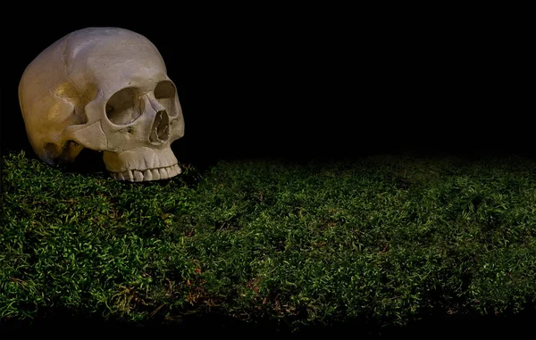 Halloween scary human skull on green dark forest moss. — Stock Photo, Image