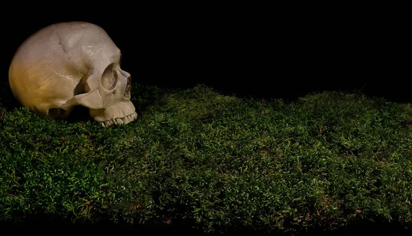 Halloween assustador crânio humano no musgo verde da floresta escura . — Fotografia de Stock