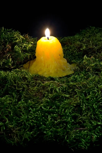 A lit candle on the forest dark moss. Part of Helloween decorati — Stock Photo, Image