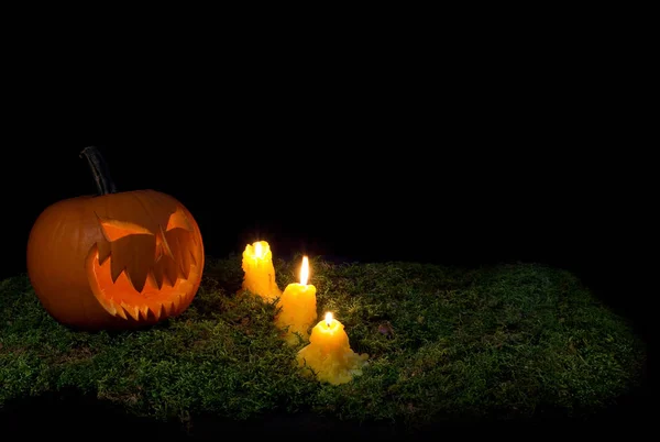 Calabaza de Halloween y velas brillando en la oscuridad en un bosque mo —  Fotos de Stock