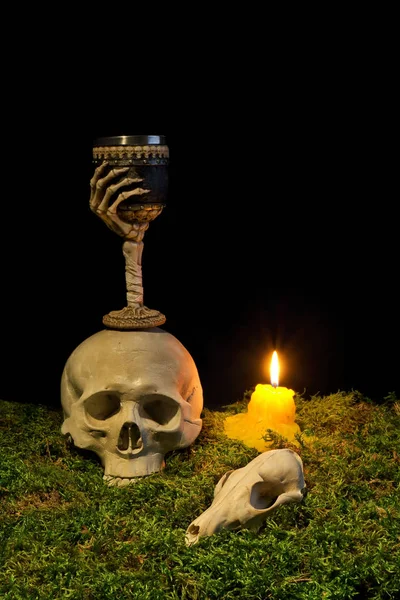 Teschio umano di Halloween, teschio animale, calice e candele incandescenti — Foto Stock