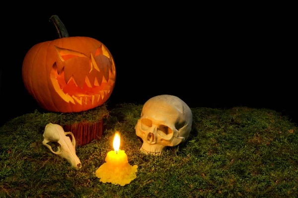 Halloween pumpkin, human skull, animal skull, and candles glowin