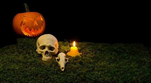 Halloween dýně, lidská lebka, zvířecí lebky a svíčky glowin — Stock fotografie