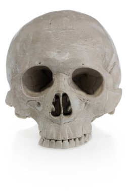 Cadılar Bayramı kafatası. Korkunç Iskelet kafa.