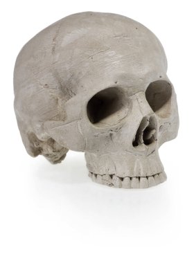 Cadılar Bayramı kafatası. Korkunç Iskelet kafa.