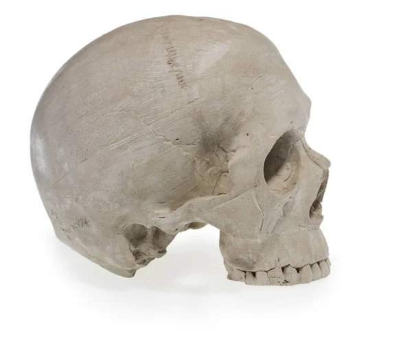 Teschio umano di Halloween. Spaventoso scheletro testa . — Foto Stock