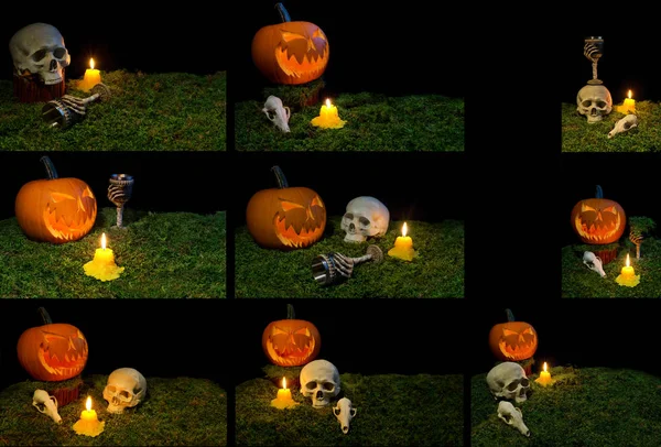 Halloween dýně, lidská lebka, zvířecí lebky, pohár a svíčky — Stock fotografie