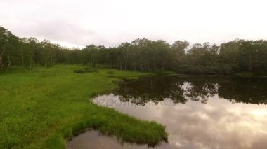 Kamera yayılımı. dağ orman görünümü nedeniyle