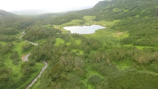 Lago in montagna. Vista aerea Kamchatka. Sorvolando il lago e il bosco. Foresta selvatica — Video Stock