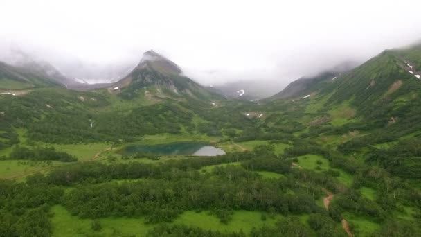 Vida silvestre aire ruso. Kamchatka. Bosque volador y montañas — Vídeo de stock