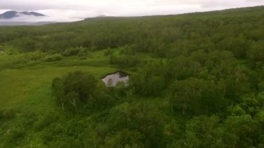 Bir Flew Over: orman, göl ve dağ görünümleri bulutlar