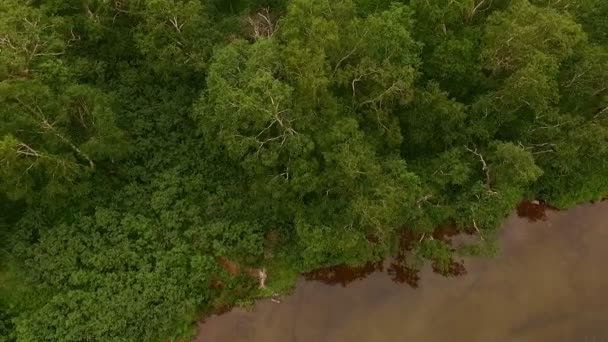 One fly over : vue sur la forêt, le lac et la montagne dans les nuages 