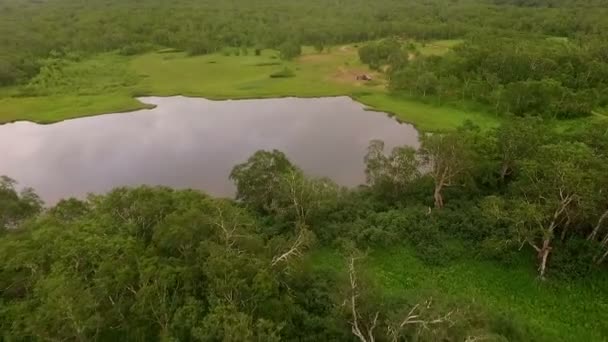 Otların arasında uçacak. Uçan helikopter. Kamçatka — Stok video