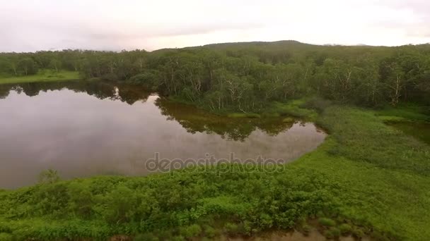 Repül át a tó. Helikopter repül jobbra-balra — Stock videók