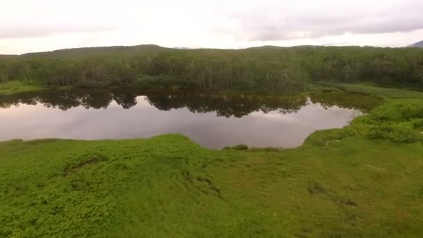 Fliegen über den See. Hubschrauber fliegt vorwärts und fliegt in Bäume — Stockvideo
