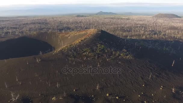 Vulkan. Skogen efter ett vulkanutbrott. Brända skogen. Lava av vulkanen. — Stockvideo
