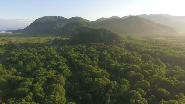 A legszebb táj, a természet. Repülő felett a fák. Napnyugtakor ragyogó a kamerába nap. — Stock videók