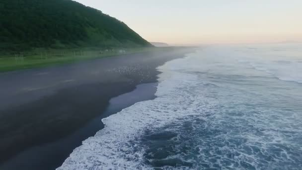 Antena: Ptaki na plaży. Latanie po plaży o zachodzie słońca na helikopter. — Wideo stockowe