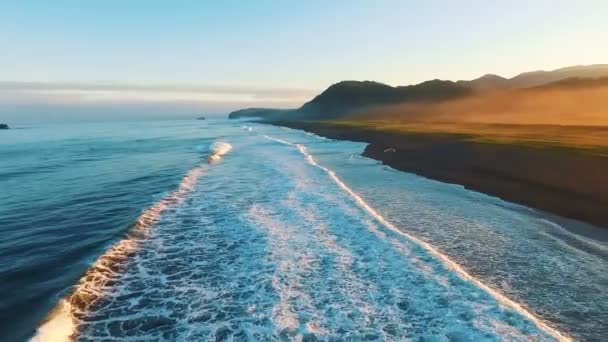 Vista aérea. As pessoas vêm de carro. Aventura ao ar livre. Viajar de carro e recreação na floresta — Vídeo de Stock