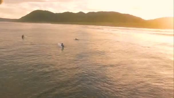 Vista aérea. Surfistas nadam no mar ao nascer do sol — Vídeo de Stock