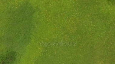 Havadan görünümü. Orman ve bulutlar yansıtan Gölü. Gölden uçan helikopter için.