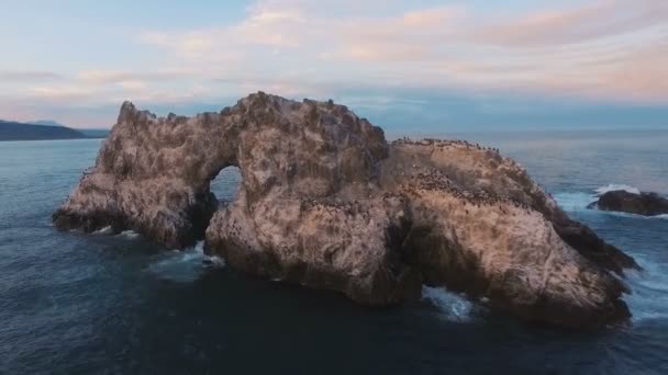 Luchtfoto. Vliegen over de rots in de zee. Veel vogels op een rots in de zee. — Stockvideo