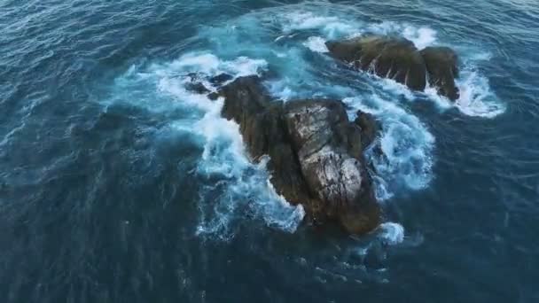 Voando sobre o penhasco para o mar. Pássaros numa rocha no mar. Ilha com pássaros no oceano — Vídeo de Stock