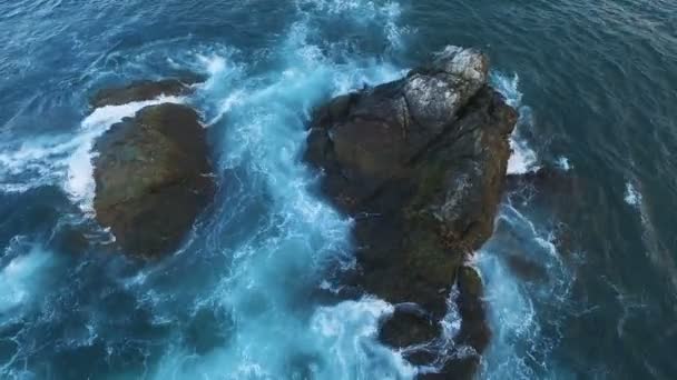 悬崖飞入海。在大海中的岩石上的鸟。岛与海洋中的鸟 — 图库视频影像