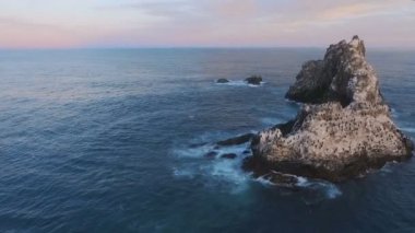 Denize uçan uçuruma. Denizin içinde bir kaya kuşlarda. Kuşlar okyanus Adası