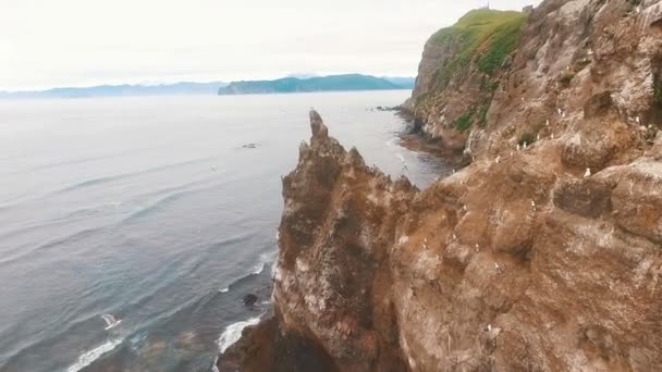 旁边的岩石和鸟的优秀飞行。飞越的燕窝岛. — 图库视频影像