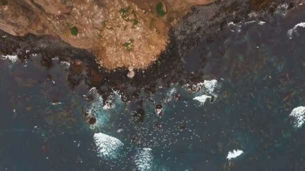 Un hermoso paisaje de vida silvestre, una isla y un mar con rocas. Naturaleza silvestre y aves — Vídeo de stock