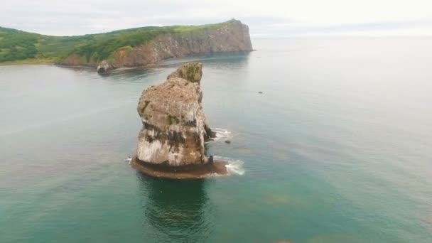 Tre stenar i havet. Sten i havet. Fåglar på kusten av ön i havet. vild natur — Stockvideo