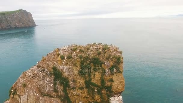 Tre rocce nell'oceano. Roccia nel mare. Uccelli sulla costa dell'isola in mare. natura selvaggia — Video Stock